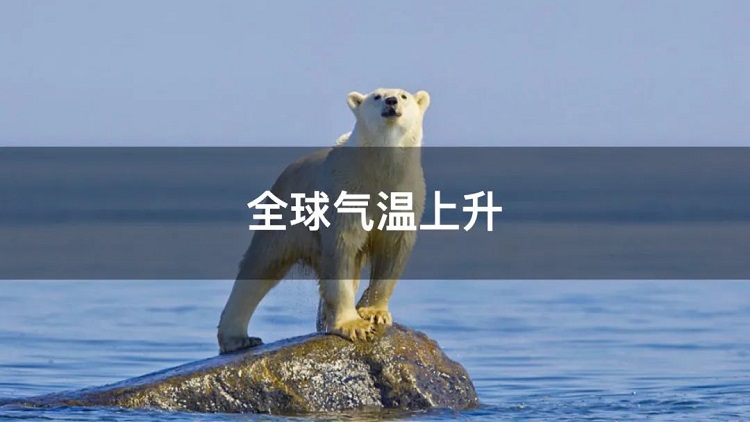 螞蟻商(shāng)聯攜手金好來超市發起“以竹代木(mù)，翠我山(shān)河”植樹節活動，從改變生活習慣開始！喊你為(wèi)公(gōng)益接力~